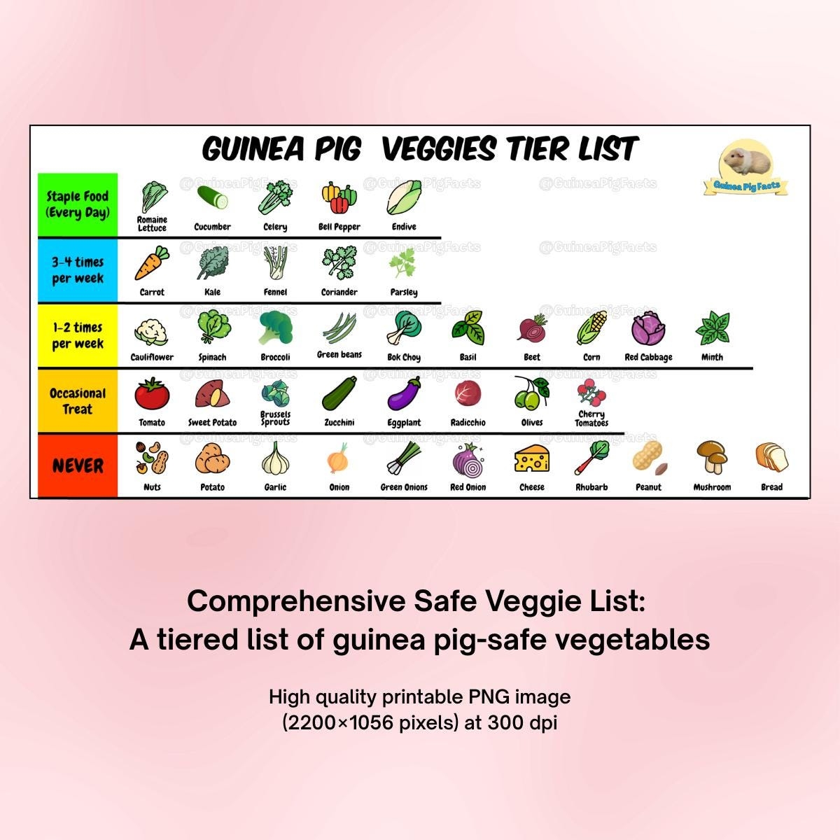 Guinea Pig Vegetable Chart Printable Safe Veggies Tier List Meal Planner Pet Care Guide digital Download PNG 300 DPI Etsy