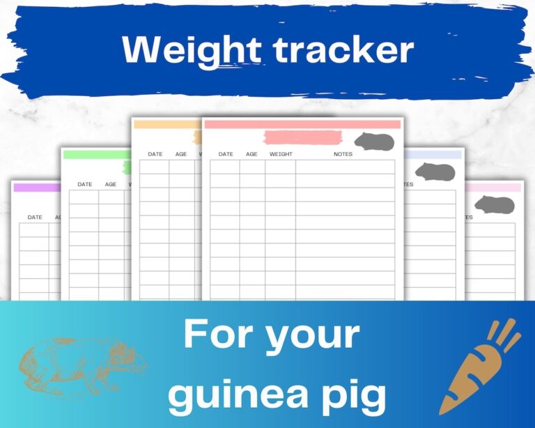 Guinea Pig Weight Tracker Health Log A4 PDF Download Rodent Growth Record Pet Change Chart Breeding List Colour Bundle Etsy