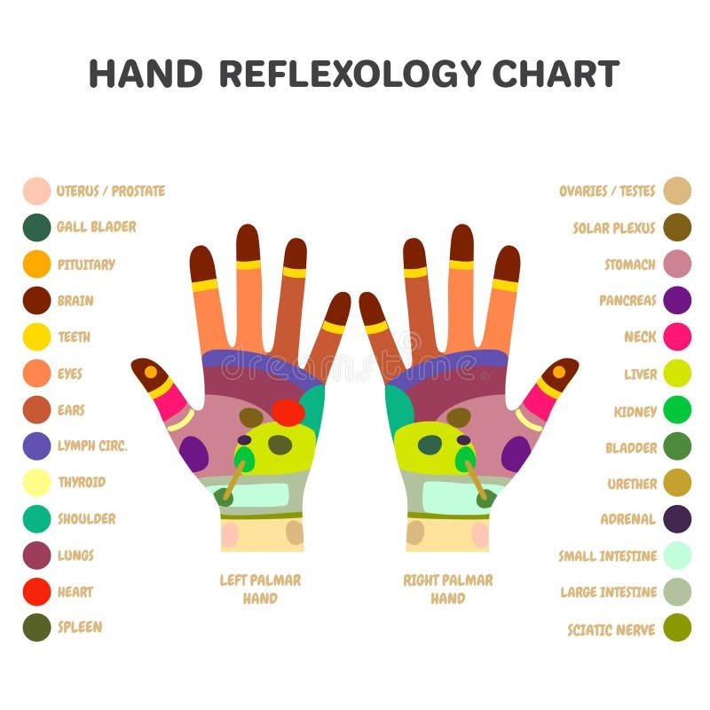 Printable High Resolution Hand Reflexology Chart