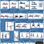 Home Printable Full Body Dumbbell Workout Printable Upper Body Dumbbell Only Workout Lower Back Best