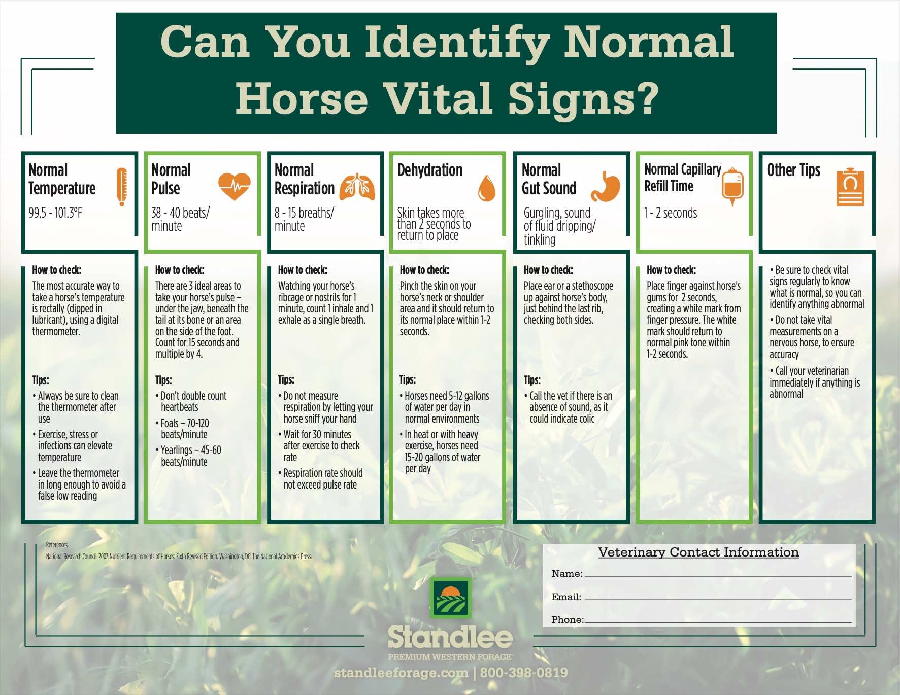 Horse Vital Signs Free Download The Backyard Horse Blog