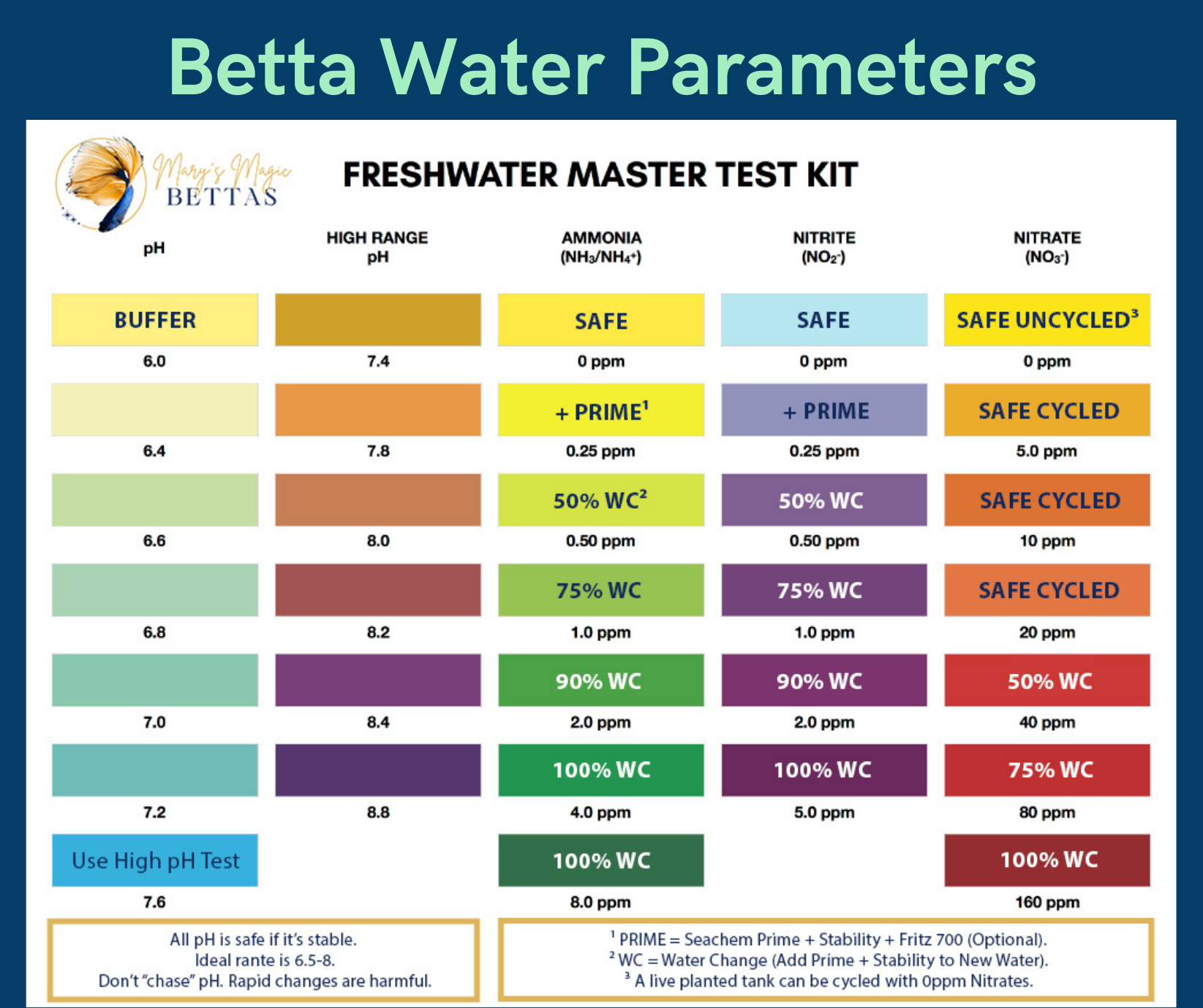 How To Safely Cycle A Fish Tank