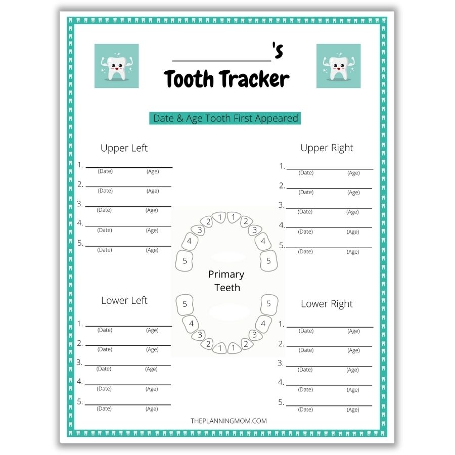 How To Track Your Child s Teeth The Planning Mom