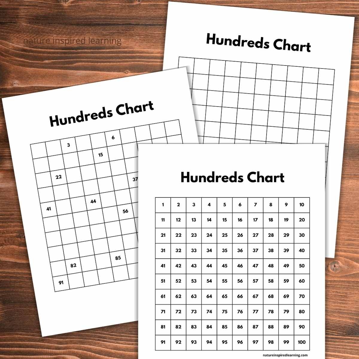 Hundred Chart Printable Blank
