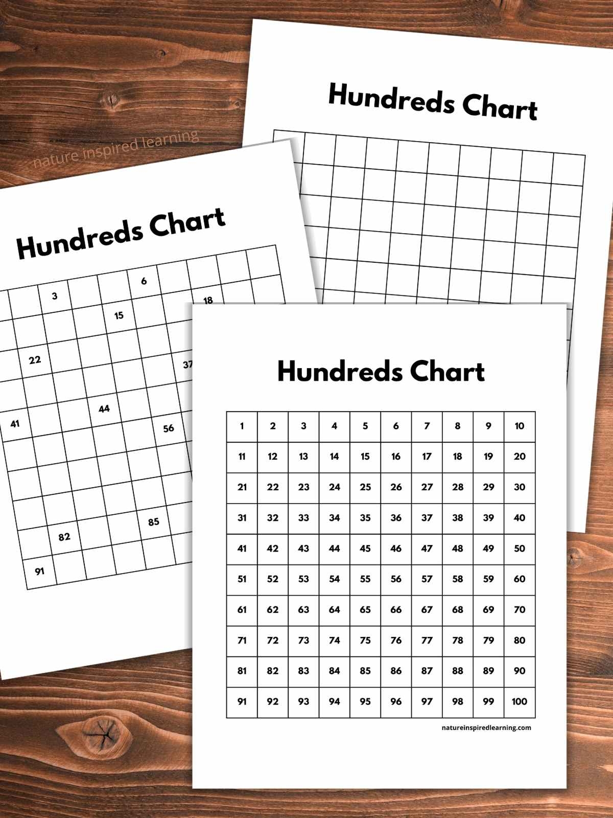 Small 100s Chart Printable