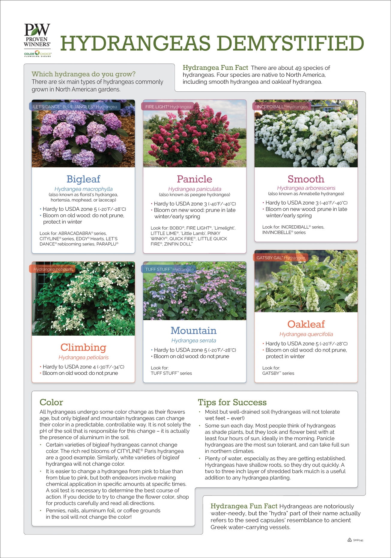 Hydrangeas Demystified 24x34 Poster Proven Winners