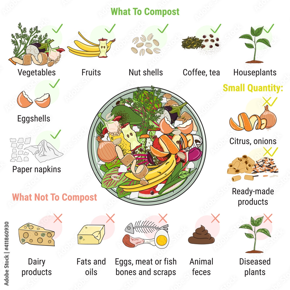 Infographic Of Composting Bin With Kitchen Scraps What To Or Not To Compost No Food Wasted Recycling Organic Waste Compost Sustainable Living Zero Waste Concept Stock Vector Adobe Stock Infographic Of Composting Bin With Kitchen Scraps What To Or Not To Compost No Food Wasted Recycling Organic Waste Compost Sustainable Living Zero Waste Concept Stock Vector Adobe Stock
