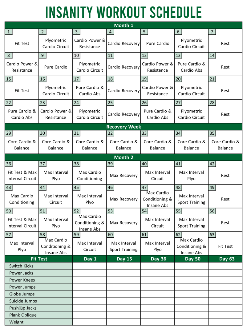 Insanity Chart Printable Insanity Chart Printable