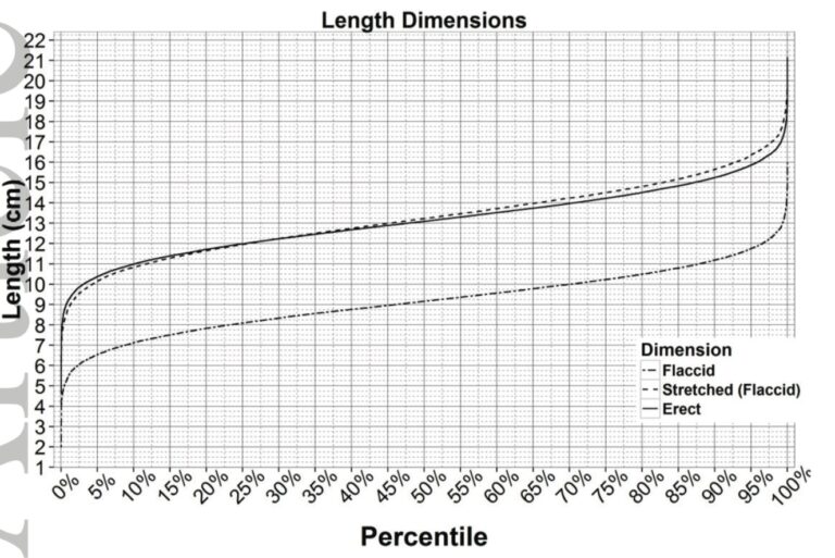 Is Your Penis Normal There s A Chart For That RealClearScience