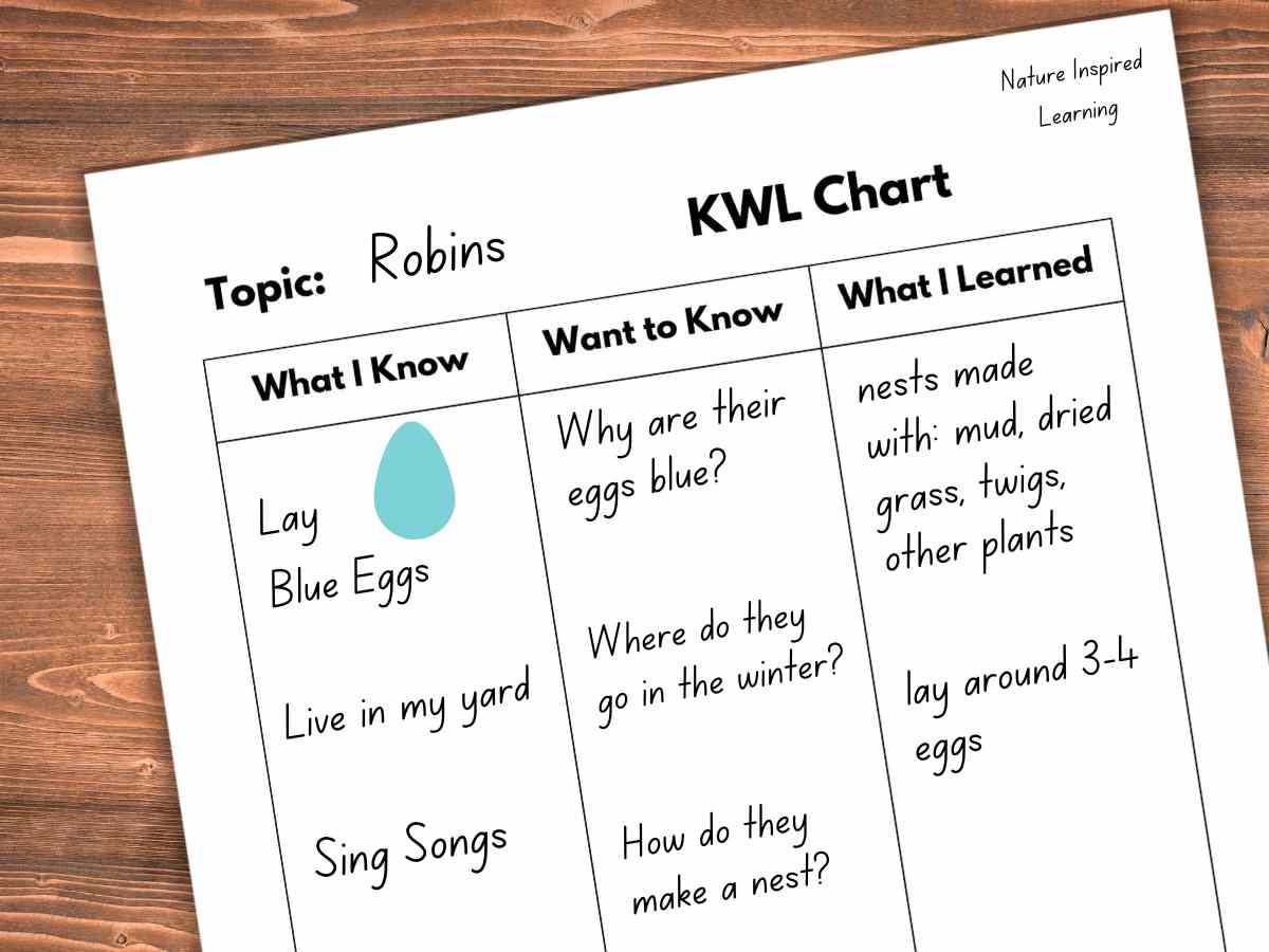KWL Charts Nature Inspired Learning KWL Charts Nature Inspired Learning