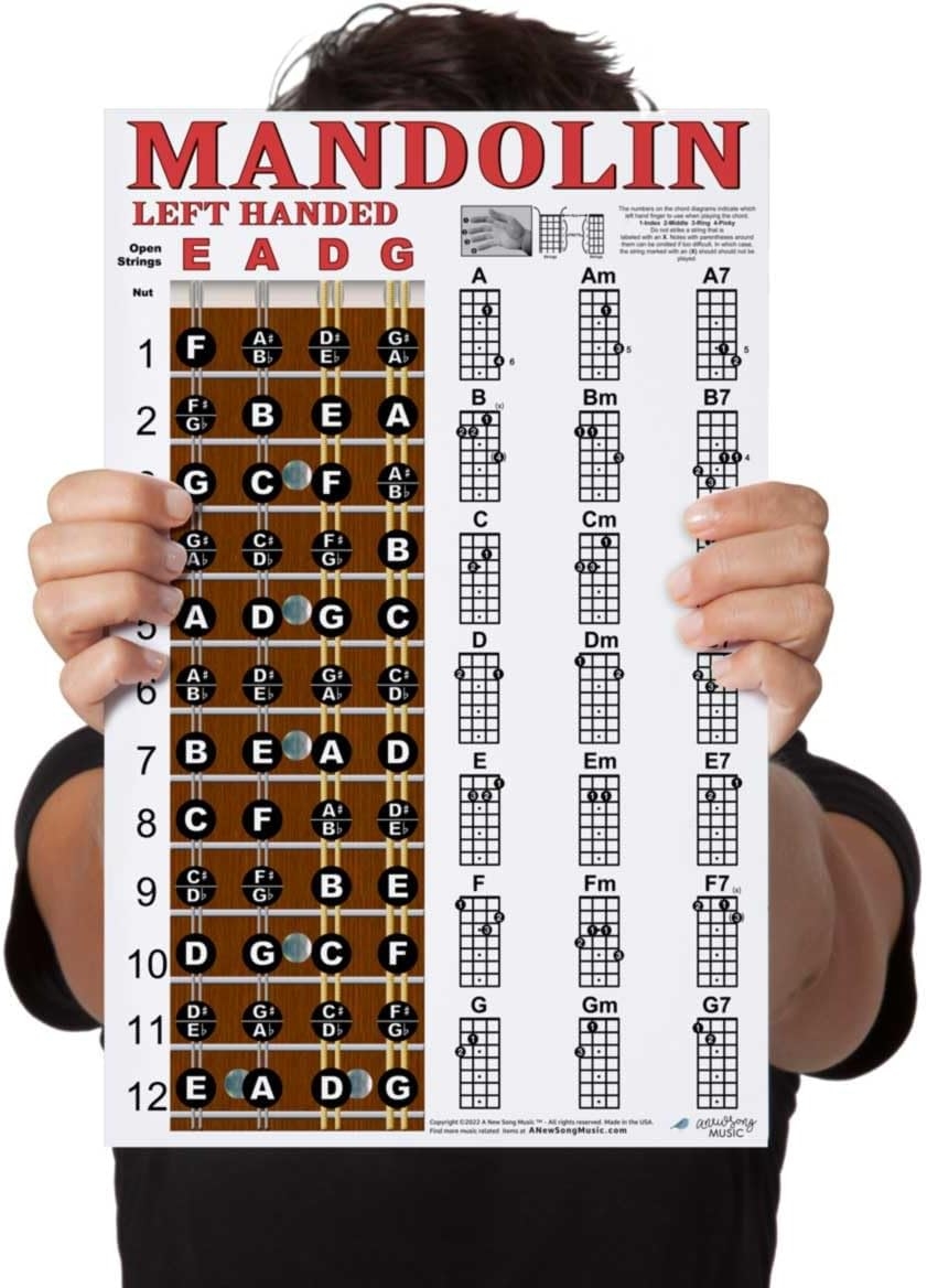 Learn To Play Mandolin Printable Mandolin Chord Chart Pdf Guitar Chord Chart