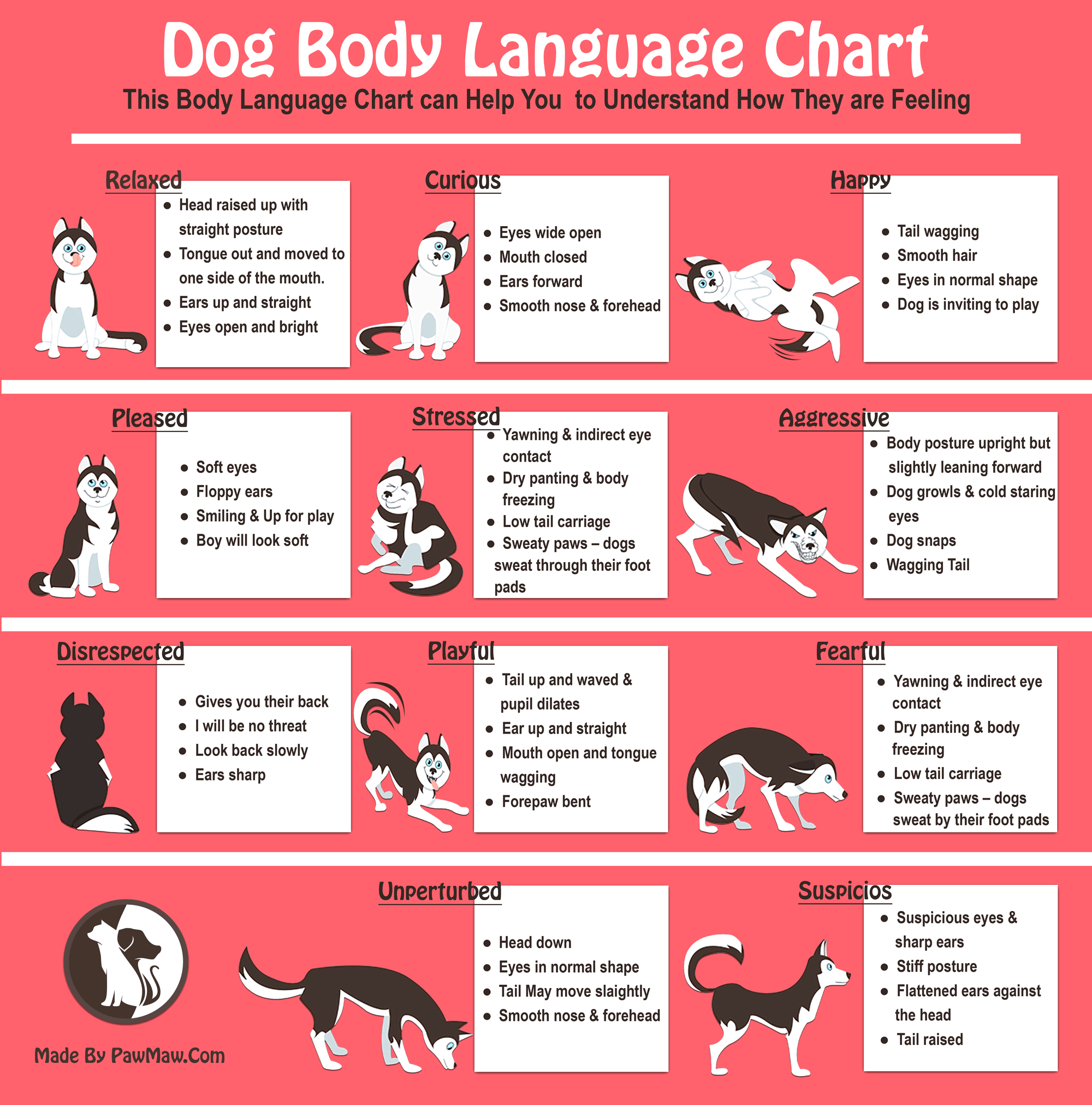 Learning And Understanding Dog Body Language Learning And Understanding Dog Body Language