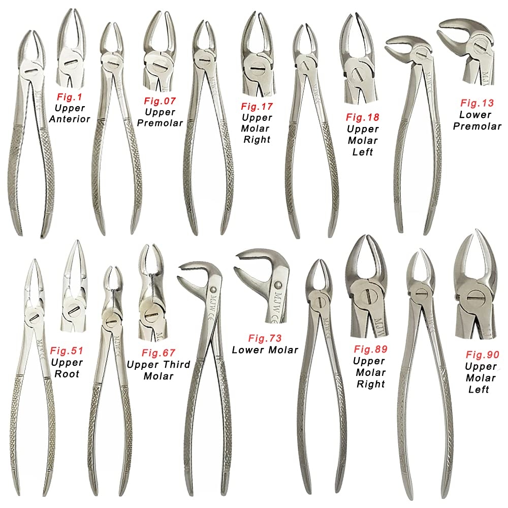Left Molar Fig 19 Forceps For Upper Third Molars Lenox INS Tooth Extractor