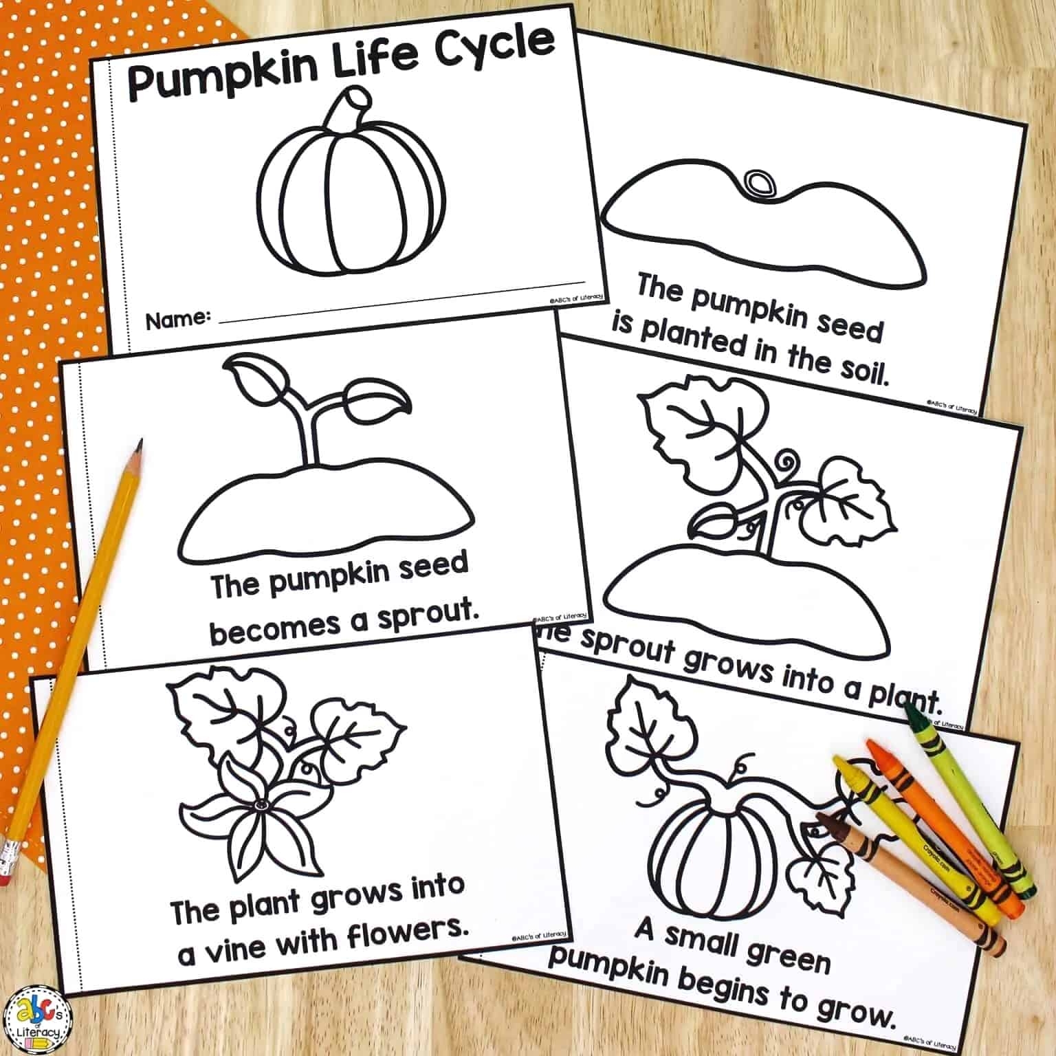 Life Cycle Of A Pumpkin Book Free Printable Science Book Life Cycle Of A Pumpkin Book Free Printable Science Book