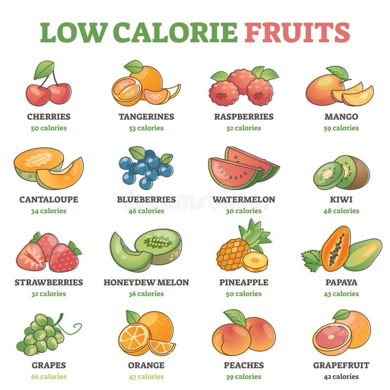 Low Calorie Fruits Examples With Precise Nutrition Data Outline Diagram Stock Vector Illustration Of Outline Data 212897806 Low Calorie Fruits Examples With Precise Nutrition Data Outline Diagram Stock Vector Illustration Of Outline Data 212897806