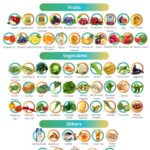 Low Potassium Food List For People With Kidney Disease KNI