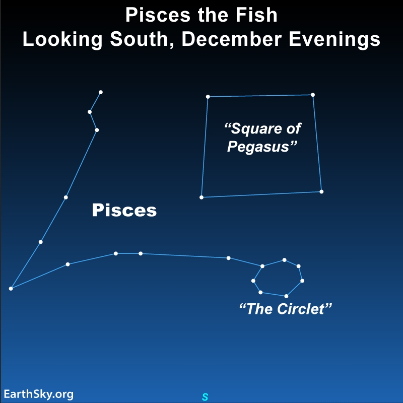 Meet Pisces The Fish 1st Constellation Of The Zodiac Meet Pisces The Fish 1st Constellation Of The Zodiac