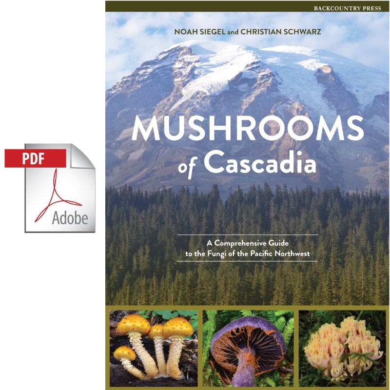 Northern California Mushroom Identity Chart Printable