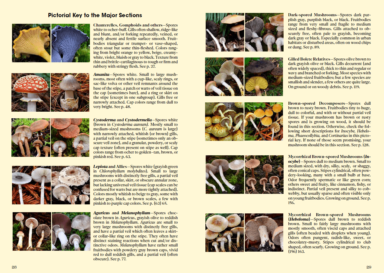 Mushrooms Of Cascadia book EBook 