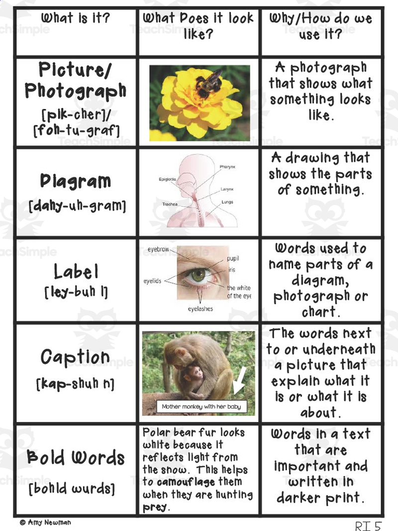 Nonfiction Text Features Anchor Chart By Teach Simple