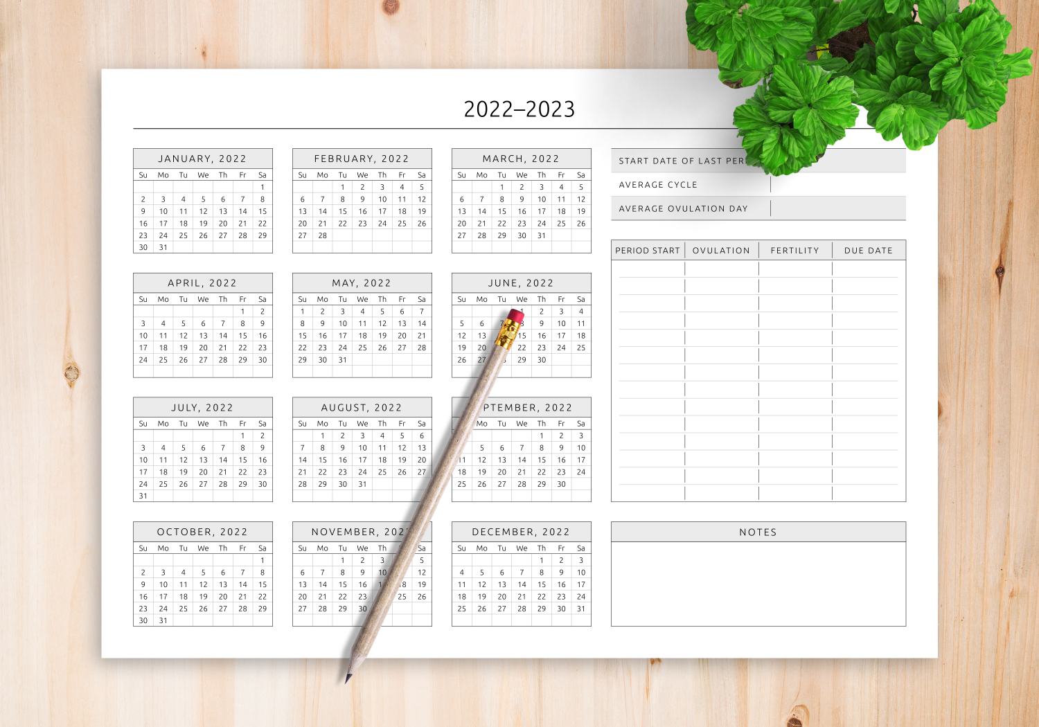 Ovulation Calendar Template PDF For Fertility Tracking