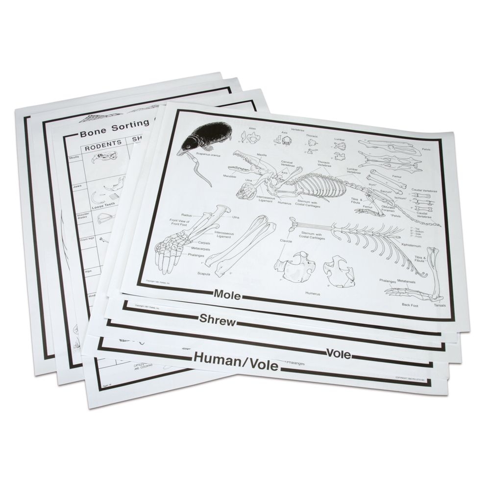 Owl Pellet Chart Set Carolina Biological Supply Owl Pellet Chart Set Carolina Biological Supply