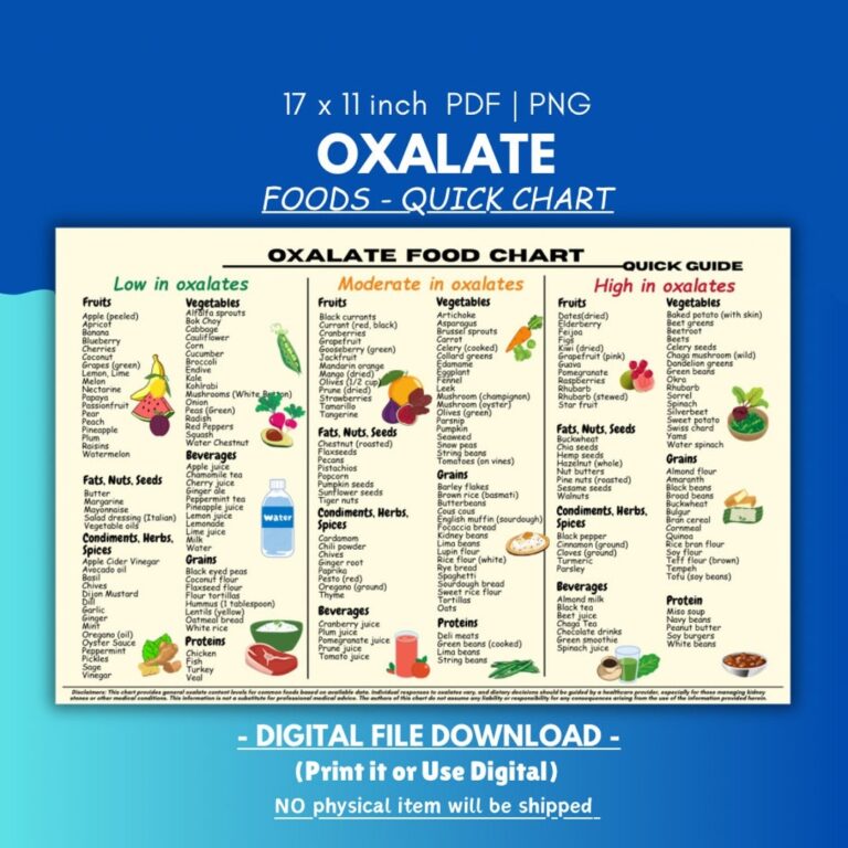 Oxalate Food Chart Renal Diet Kidney Friendly Guide printable PDF Etsy