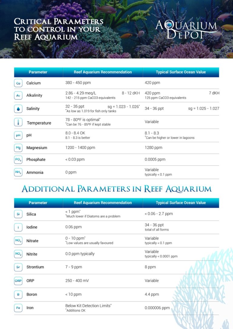 Parameters That Are Important To Watch In Your Reef Tank