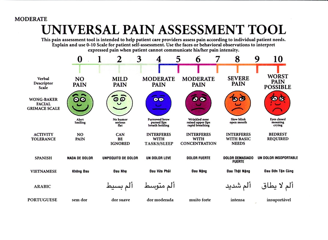 Printable Painad Chart