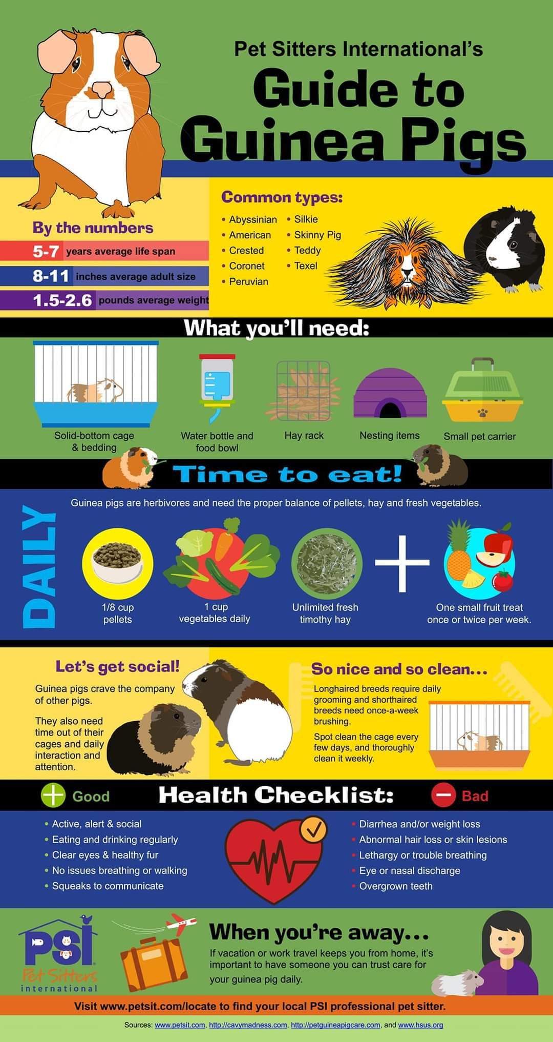 Printable Guinea Pig Safe Food Chart Printable Guinea Pig Safe Food Chart