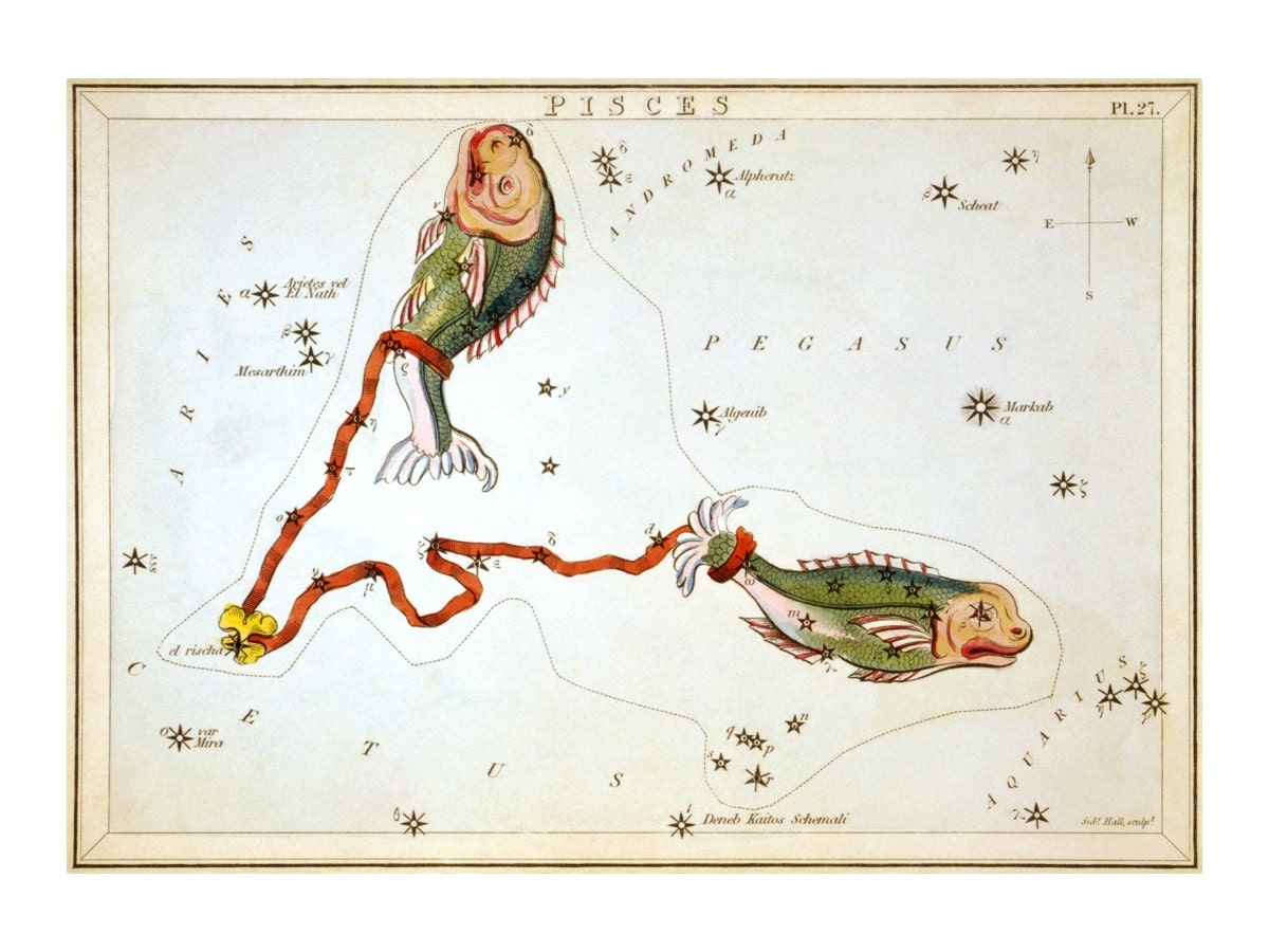 Pisces Vintage Zodiac Astrological Art Print Astronomy Astrology Horoscope Art Celestial Constellation Chart Old Maps And Prints Pisces Vintage Zodiac Astrological Art Print Astronomy Astrology Horoscope Art Celestial Constellation Chart Old Maps And Prints