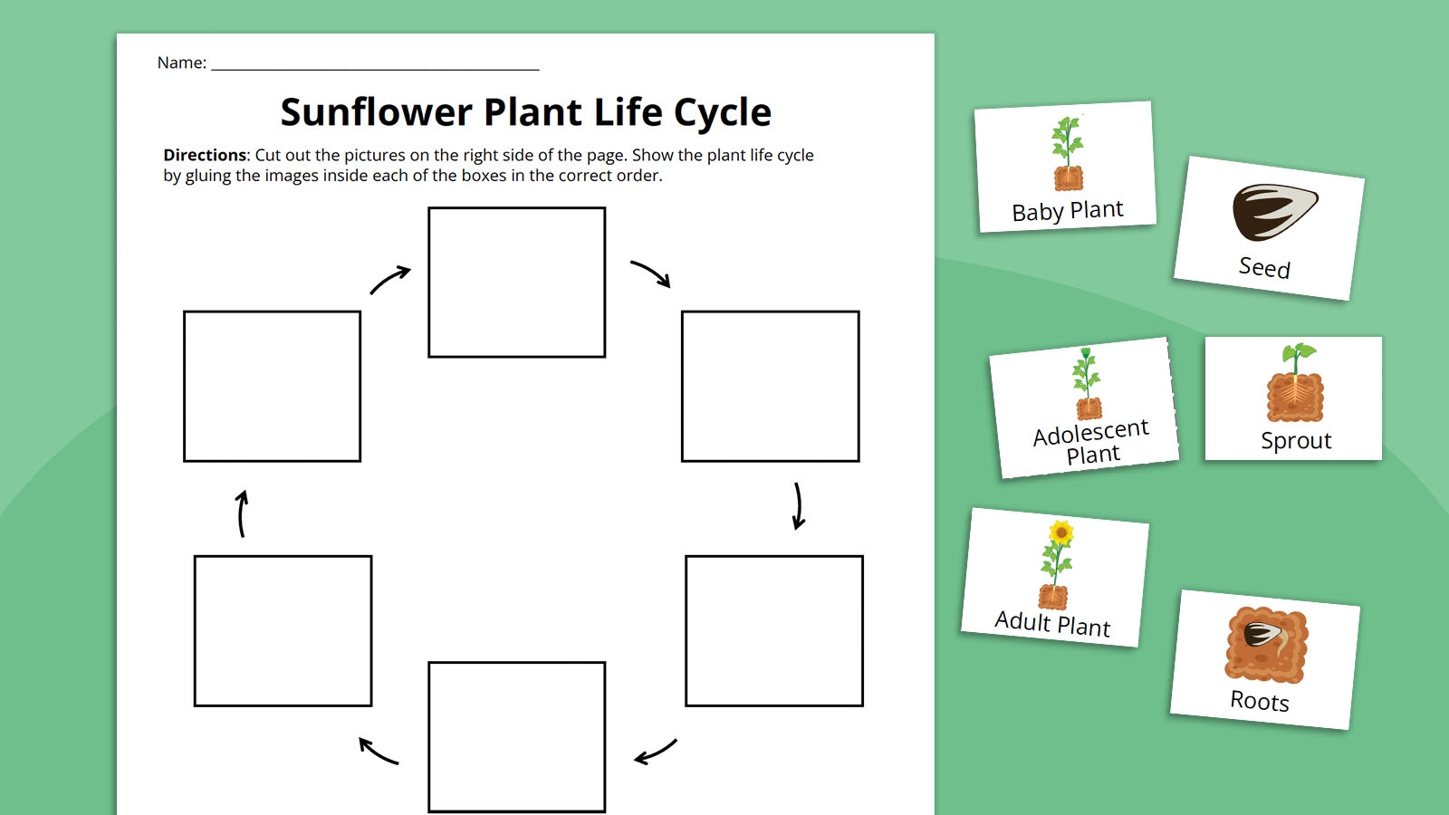Plant Growth Chart Printable