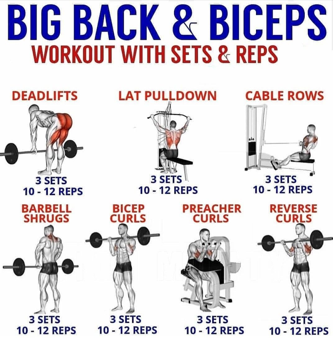 Printable Bicep Exercise Chart