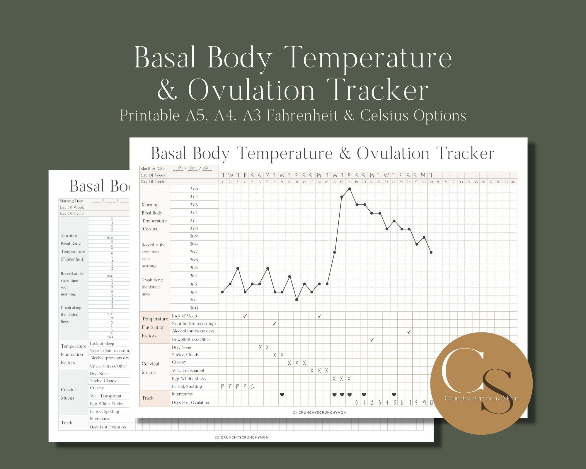 Printable Basal Body Temperature Ovulation Fertility Pregnancy Period Tracker Digital Download PDF Etsy Australia