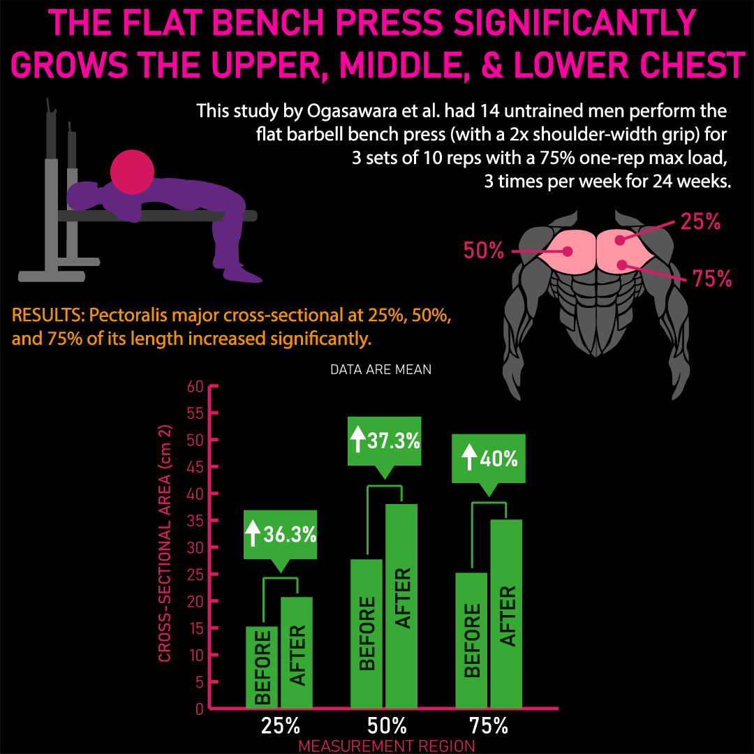 Printable Bench Press Wods Bench Press Workout Chart 2025