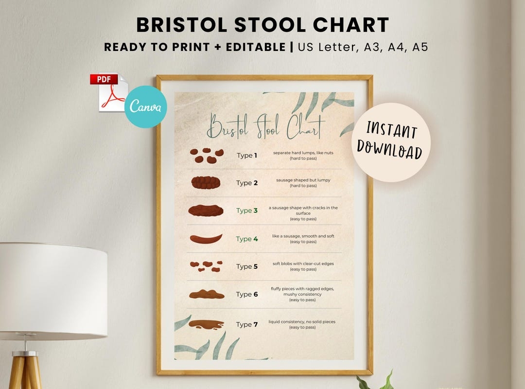 Bristol Stool Chart Printable Version