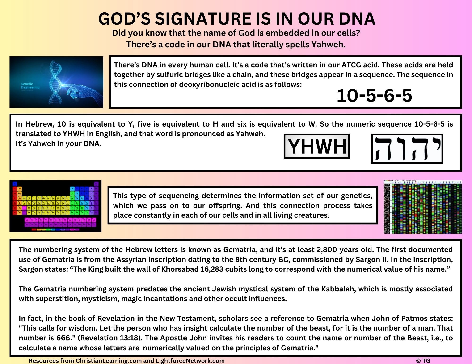Printable Dna Chart Printable Dna Chart