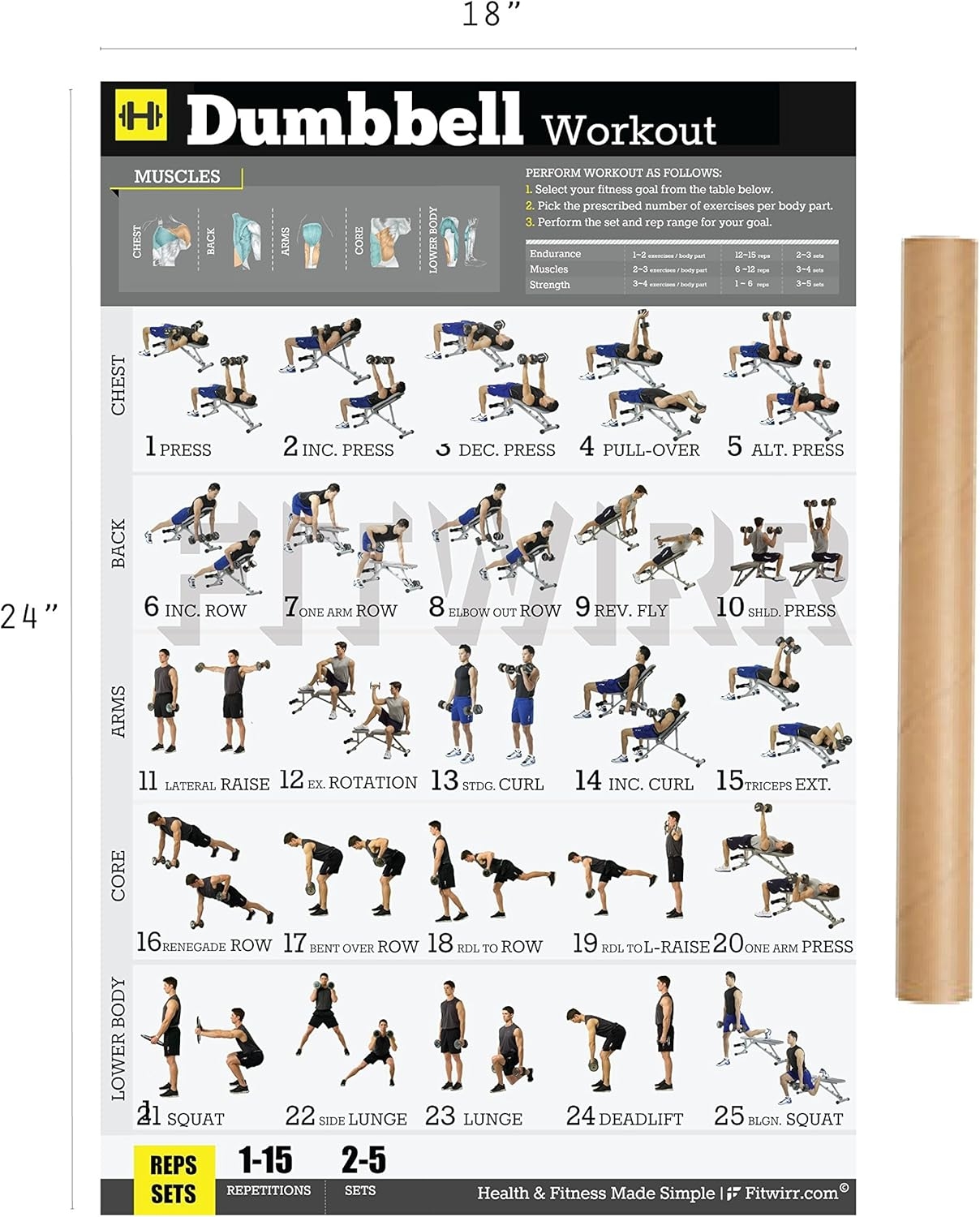 Printable Dumbbell Workout Routine Chart