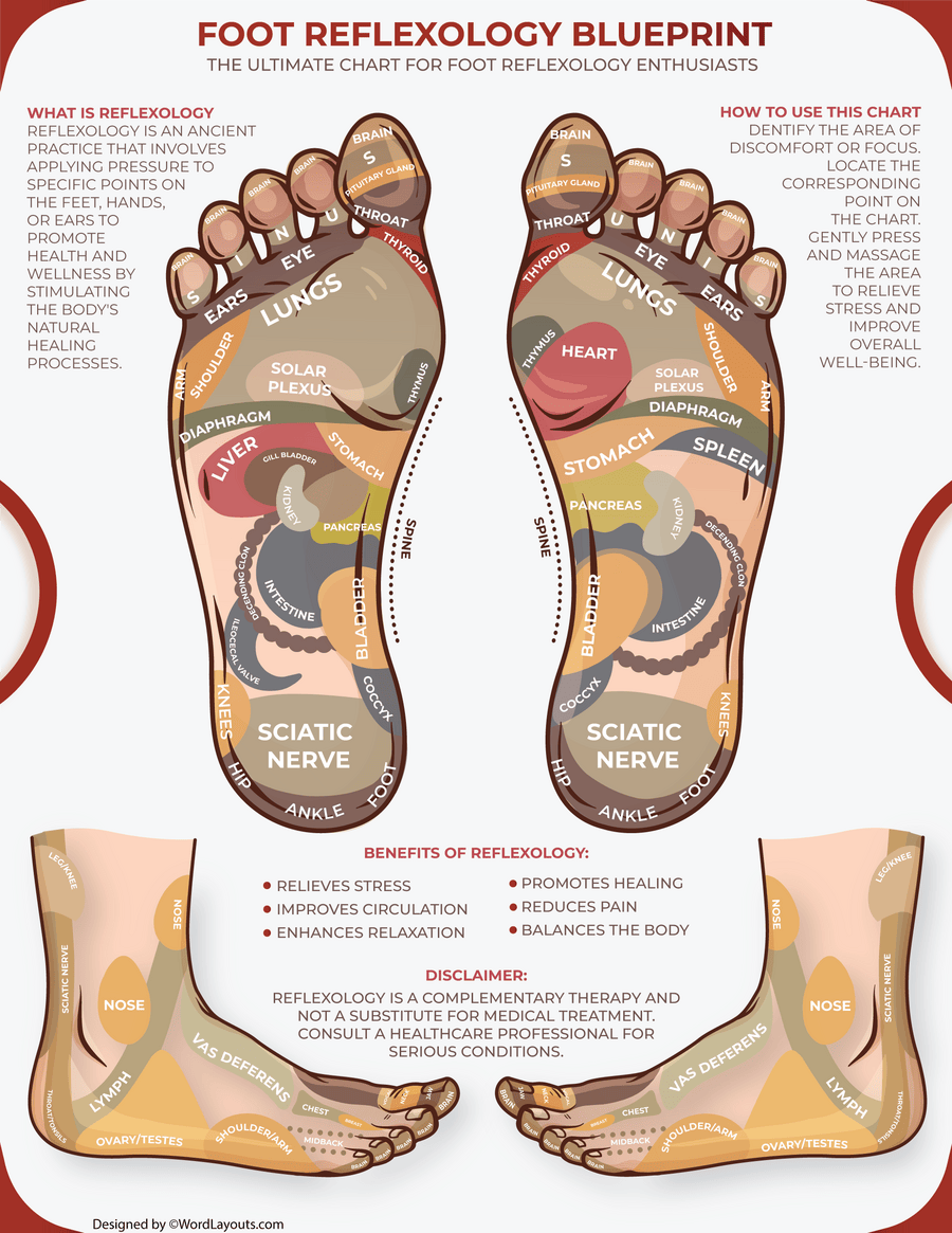 Printable Foot Reflexology Zones Chart WordLayouts