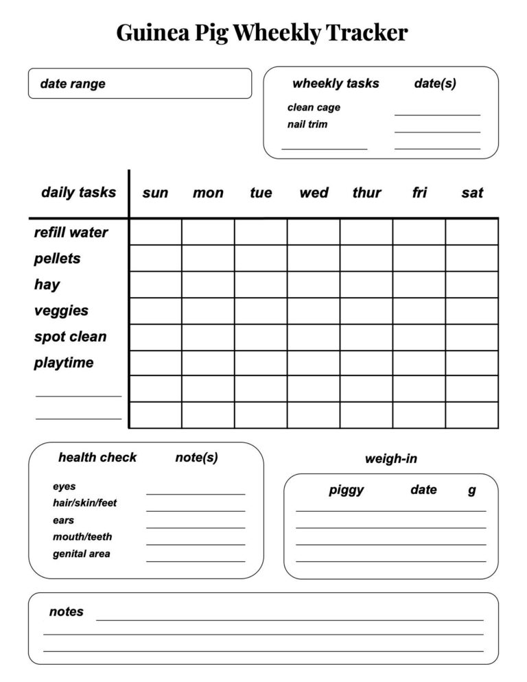 Printable Guinea Pig Care Weekly Tracker digital Download Etsy