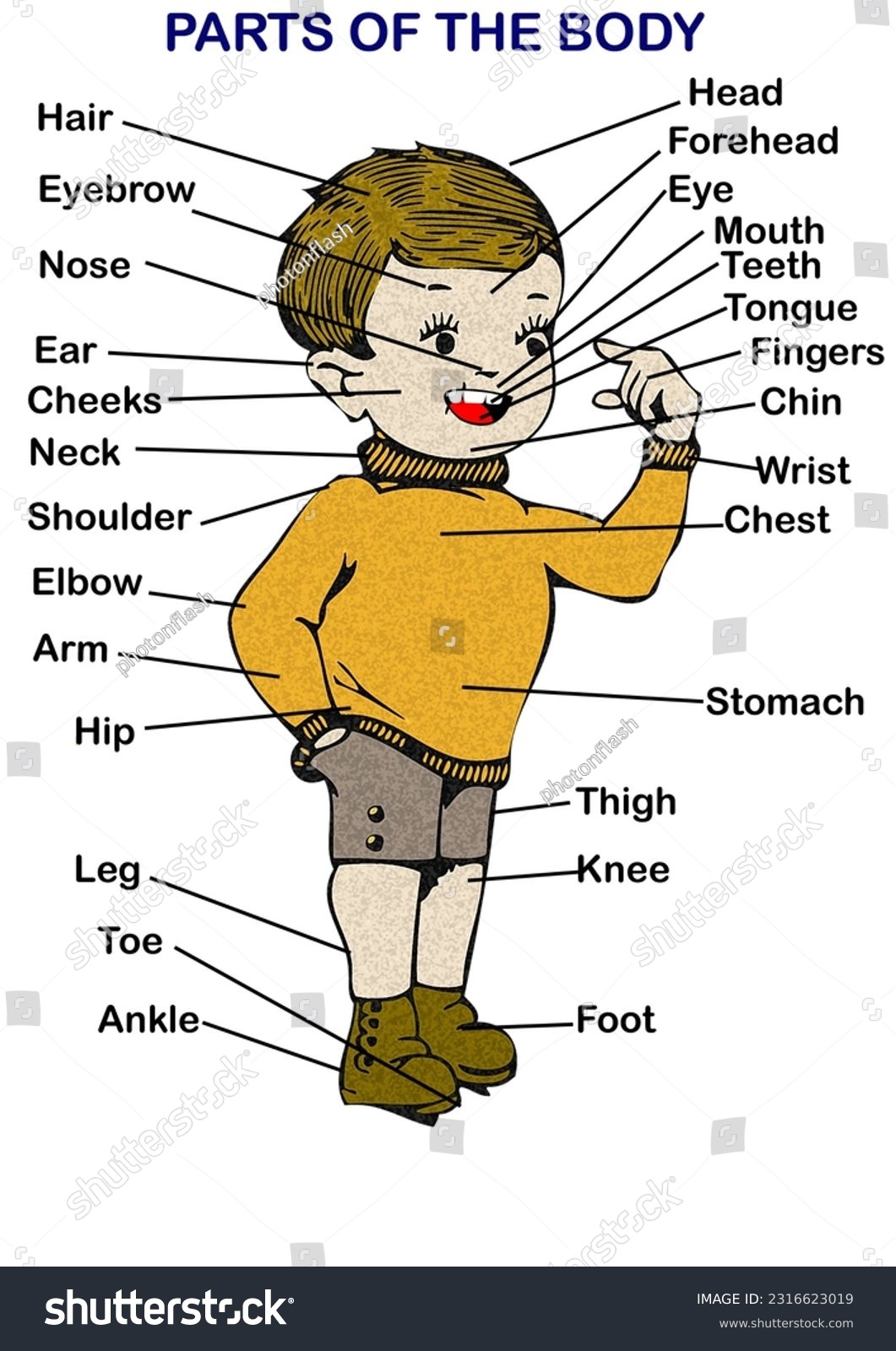 Body Parts Chart Printable