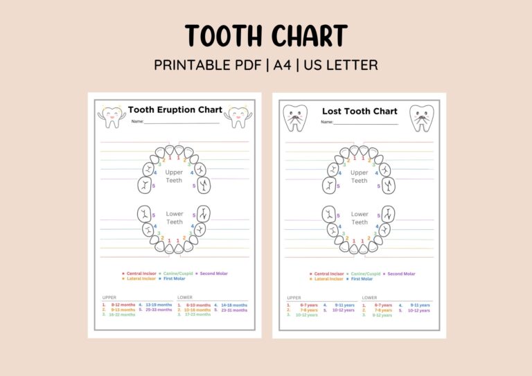 Printable Tooth Eruption Chart Lost Tooth Chart Baby Tooth Tracker Lost Tooth Tracker Baby Teeth Keepsake Etsy