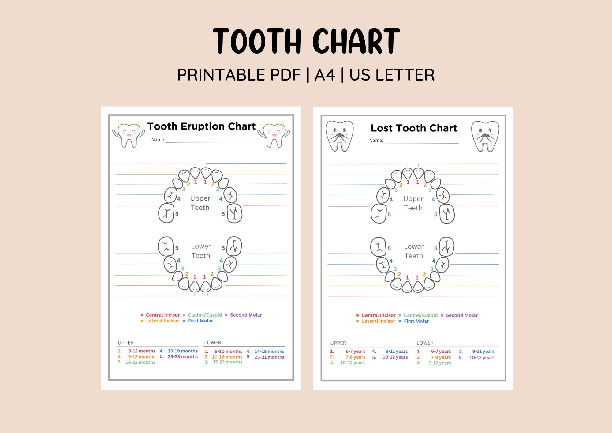 Free Printable Tooth Loss Chart