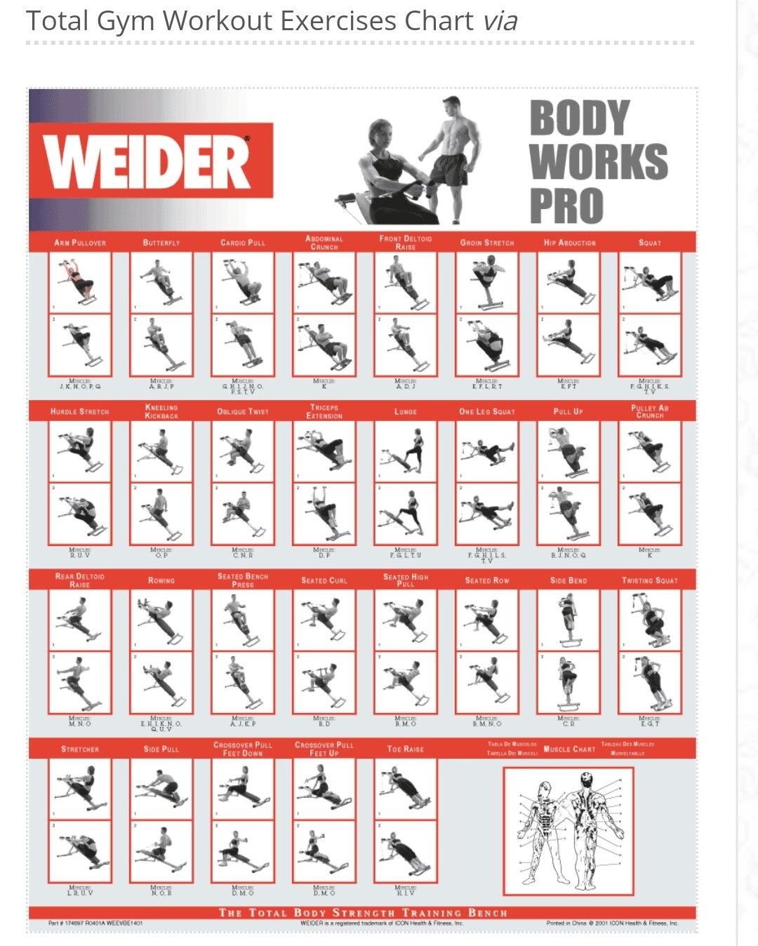 Printable Total Trainer Exercise Chart