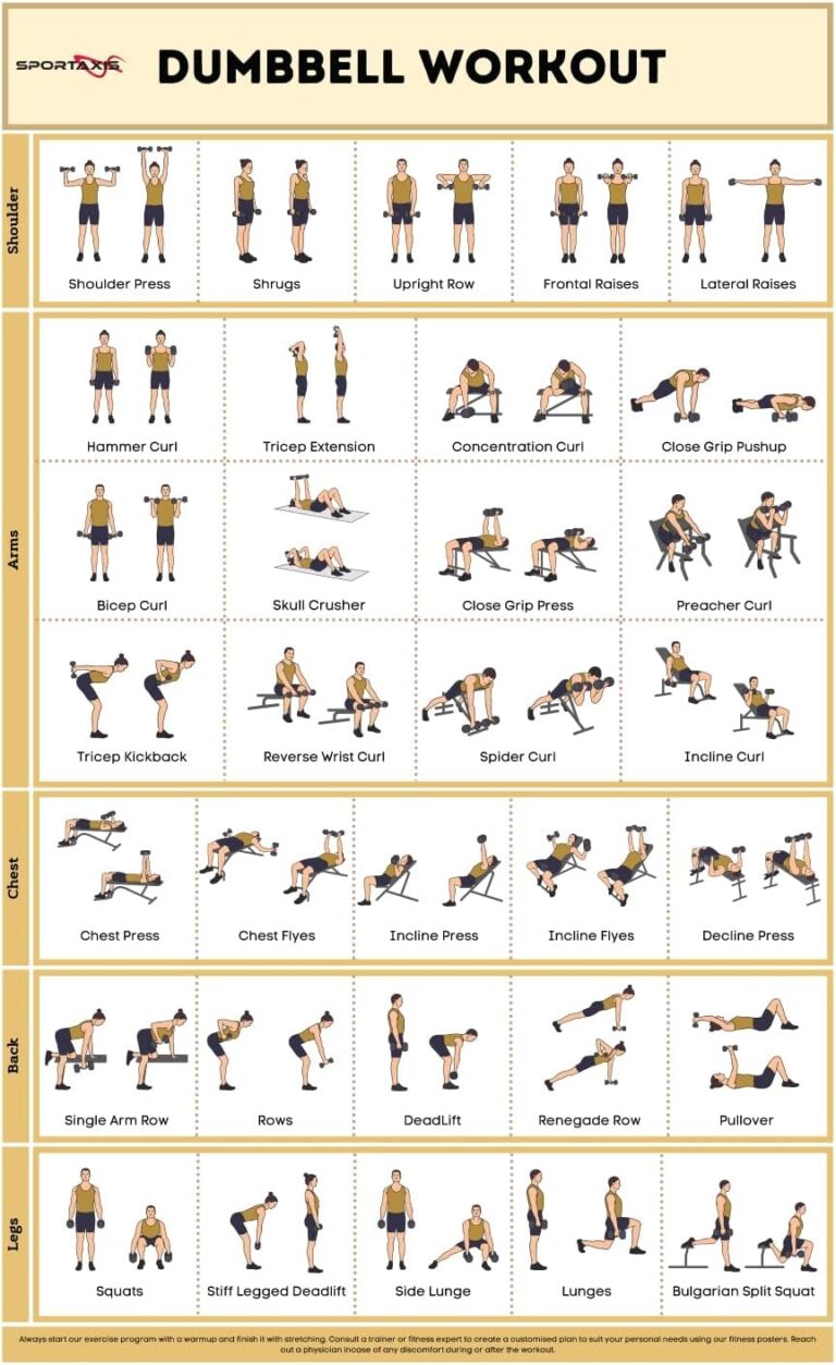 Printable Workout Back Biceps Workout At Gym Arm Back And Bicep Workout Men Best Arm Arm