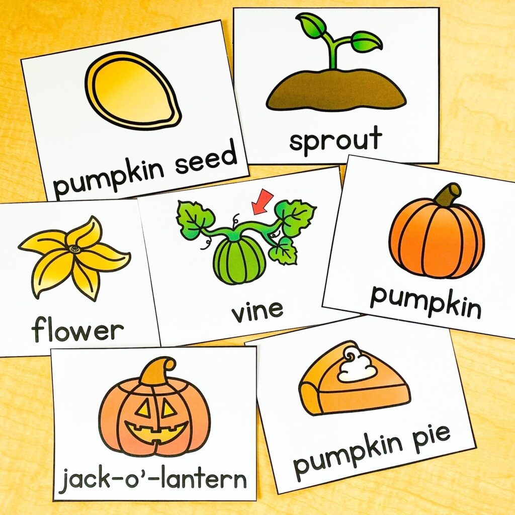 Pumpkin Life Cycle Activities For Kindergarten Katie Roltgen Teaching Pumpkin Life Cycle Activities For Kindergarten Katie Roltgen Teaching