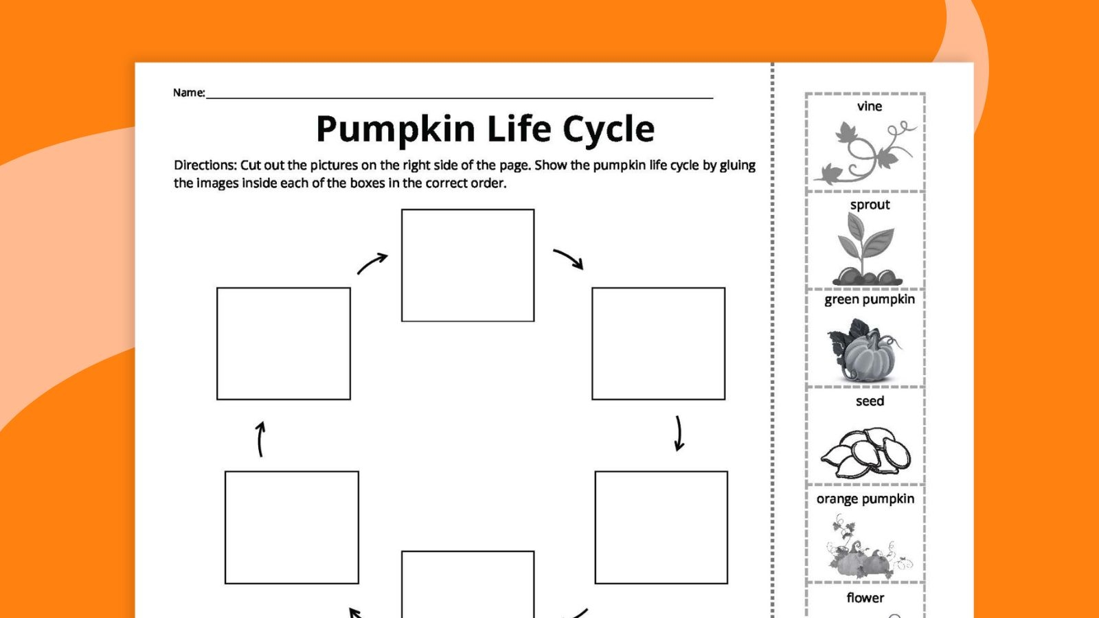 Printable Pumpkin Seed Life Cycle Chart Printable Pumpkin Seed Life Cycle Chart