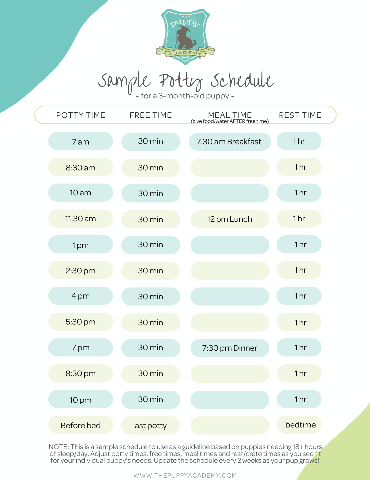Puppyhood Made Easy For New Owners Create A Puppy Potty Schedule The Puppy Academy