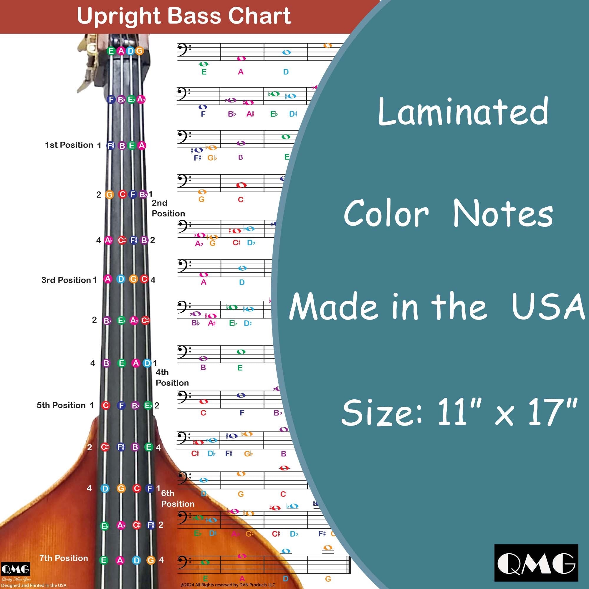 QMG Upright Bass Fingering Chart With Color coded Notes Double Bass Chart Suitable For All Levels Laminated Size 11 X 17 Etsy