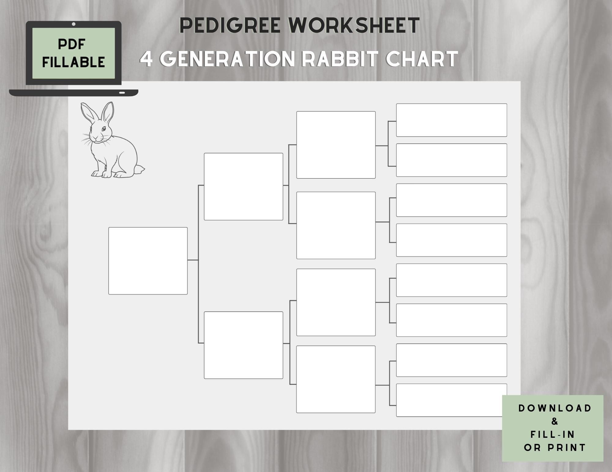Rabbit Pedigree Chart 4 Generations On One Page Fillable PDF Etsy